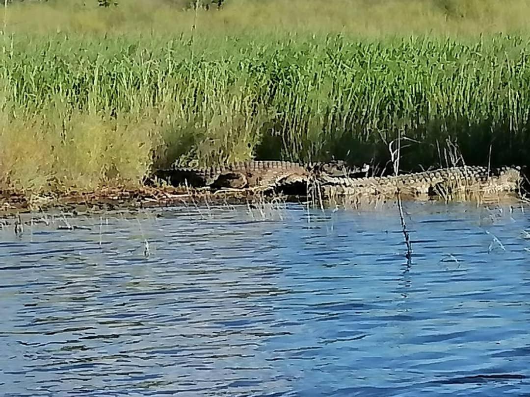 Camp Hogo Kavango Rundu Zewnętrze zdjęcie