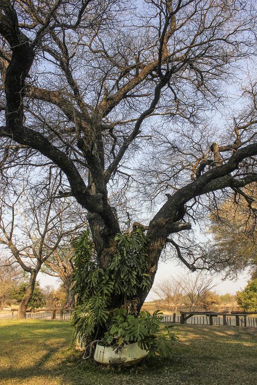 Camp Hogo Kavango Rundu Zewnętrze zdjęcie