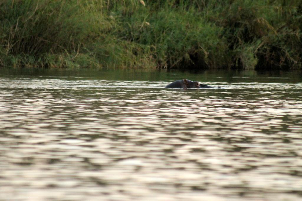 Camp Hogo Kavango Rundu Zewnętrze zdjęcie