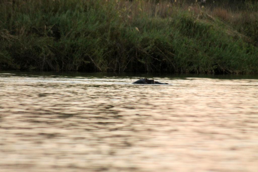 Camp Hogo Kavango Rundu Zewnętrze zdjęcie