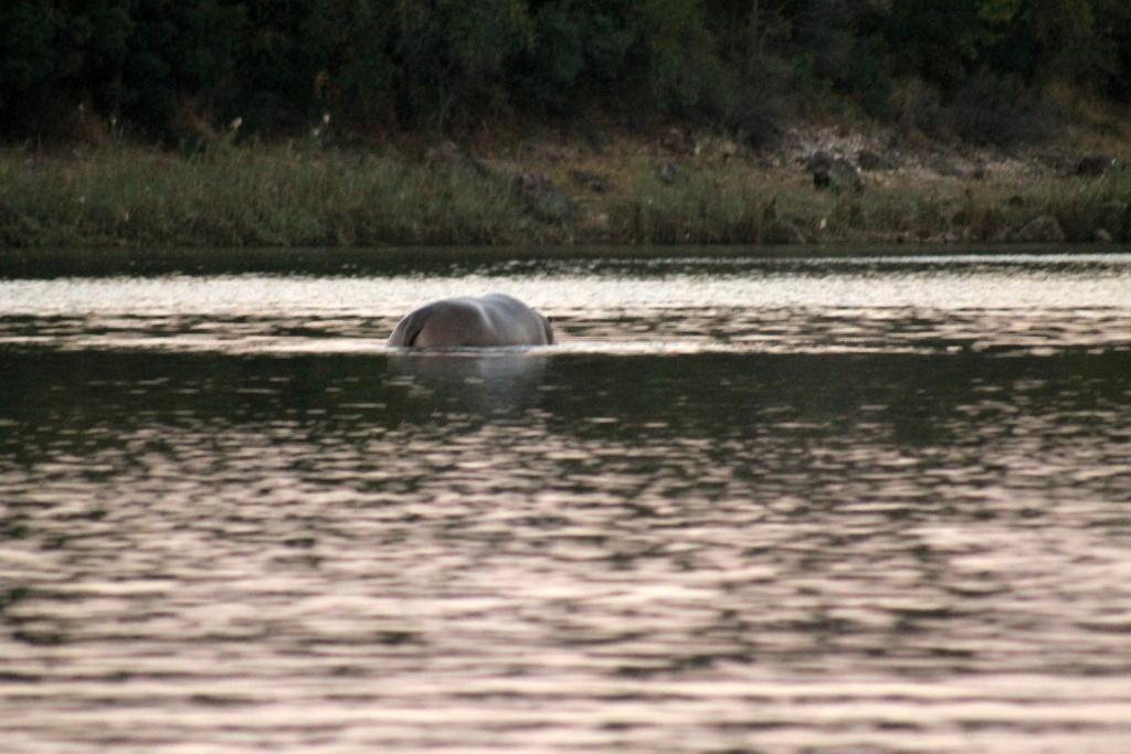 Camp Hogo Kavango Rundu Zewnętrze zdjęcie